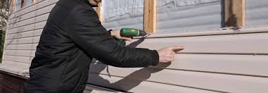 Best Aluminum Siding Installation  in Bnchard, LA